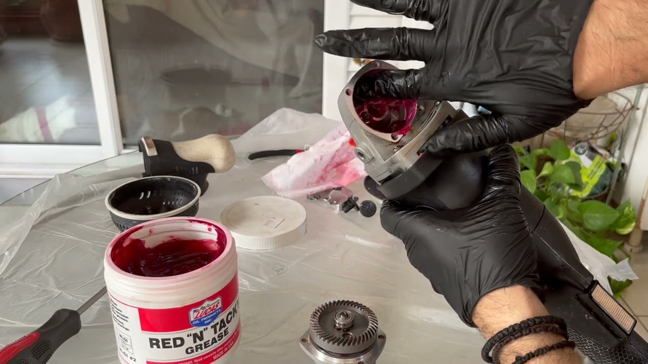 Dual Action Polisher Restoration-Lubrication and Carbon brushes replacement (MaxShine M15 PRO)
