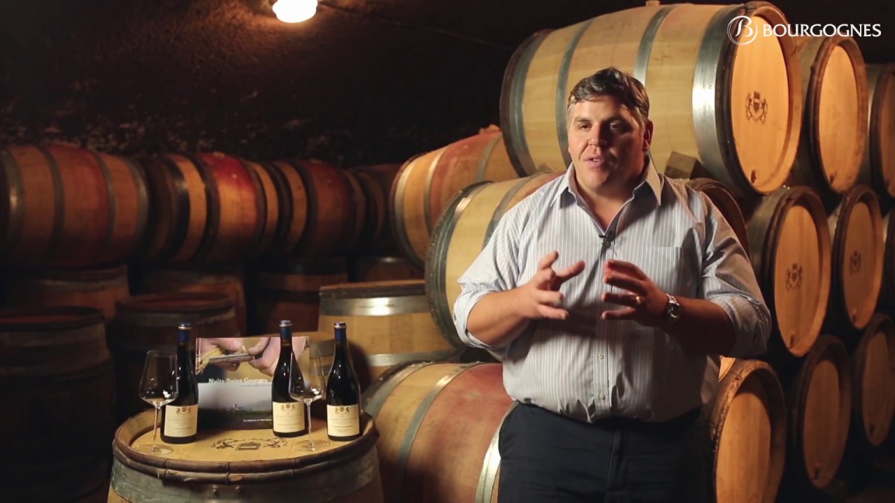 Nuits-Saint-Georges as seen  by Thibault Liger-Belair, winemaker