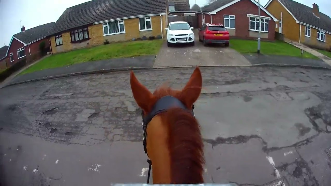 Harry Solo Hack 9 Feb 26