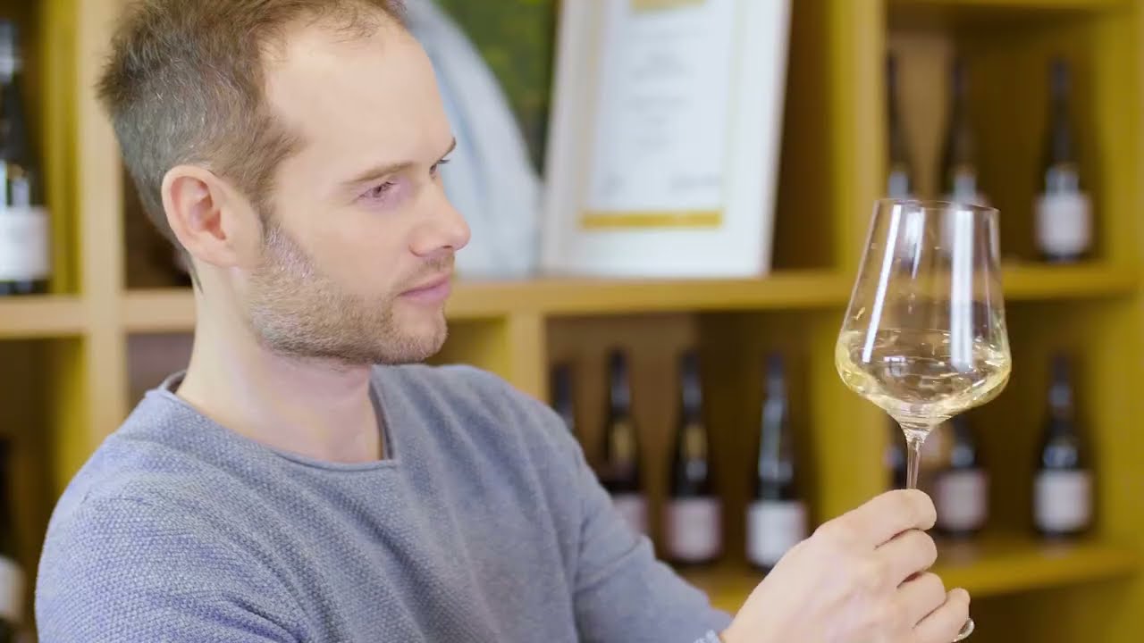 Weingut Tom Dockner: Höchste Qualität im Weinland Traisental