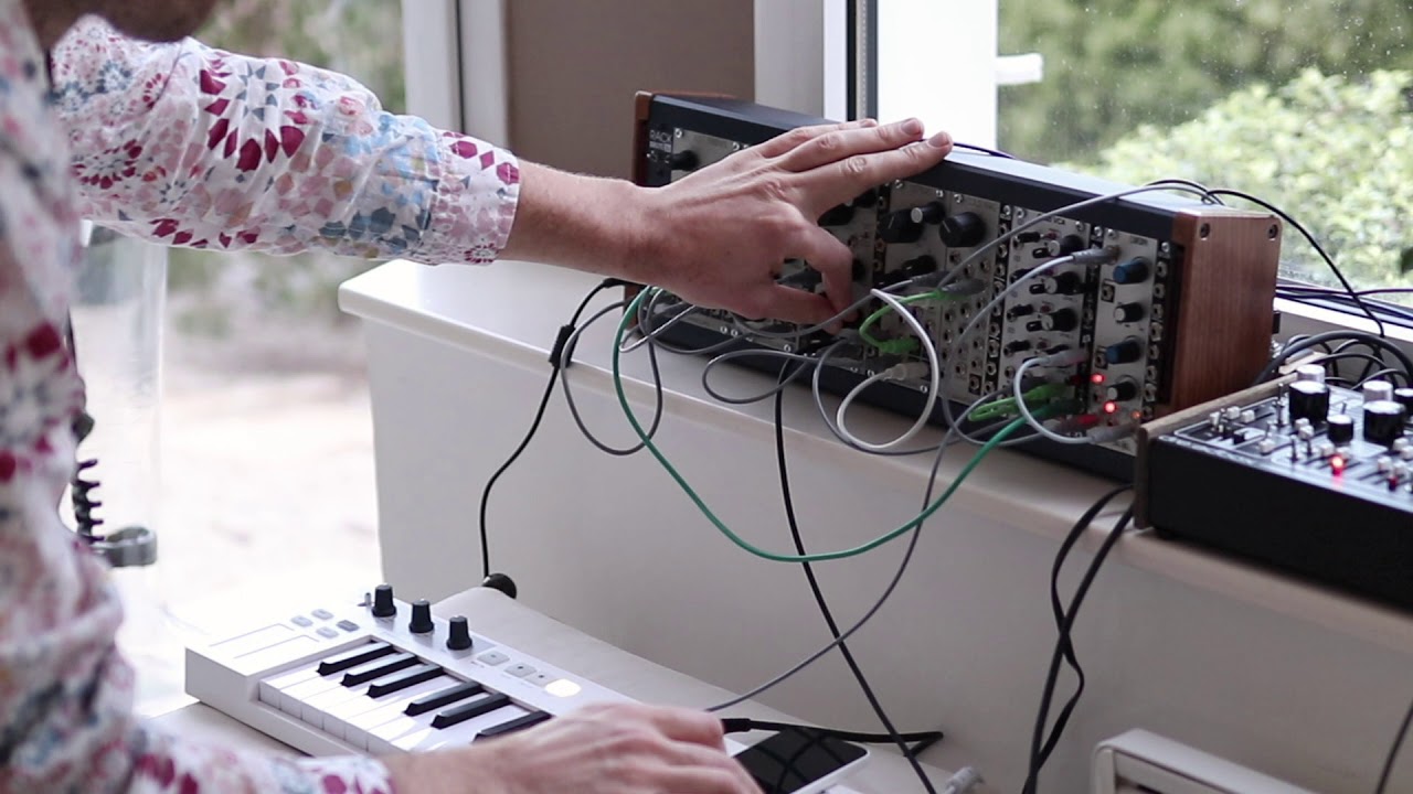 W  I  L  D   - december lights -  Mannequins mangrove and Dreadbox Nyx