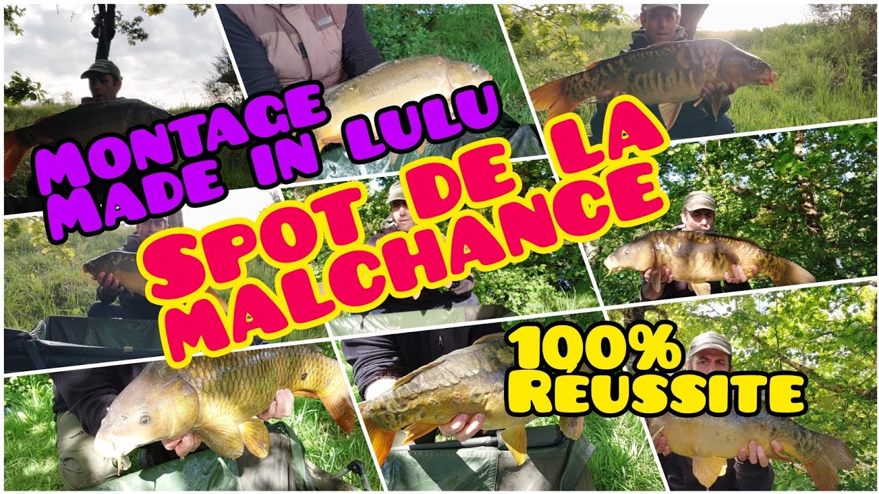 montage carpe made in lulu 100% de réussite sur le spot de la malchance 😍