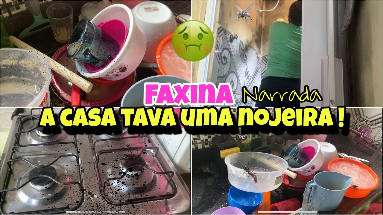 FAXINA NARRADA A CASA 🏠 TAVA UMA NOJEIRA!
