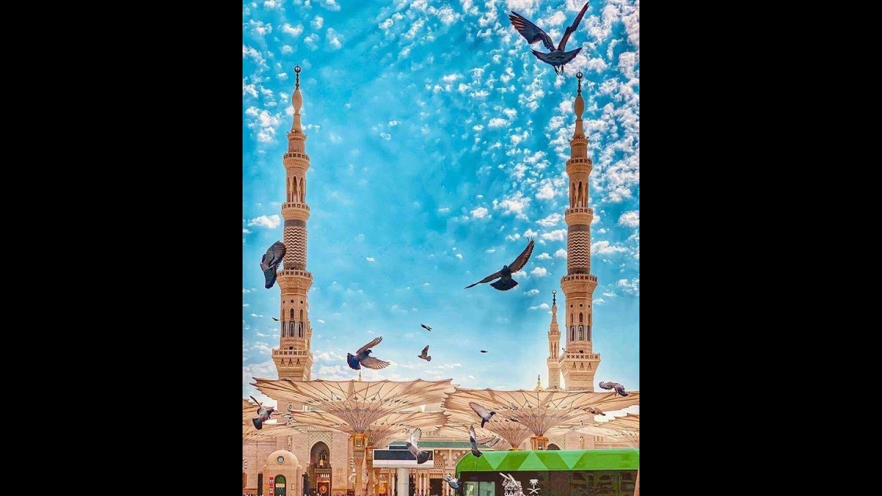 ماشي بنور الله أدعي وأقول يا رب يبقالي حصن وجاه زدني في حبك حب  - حضره - 25 شعبان 1447