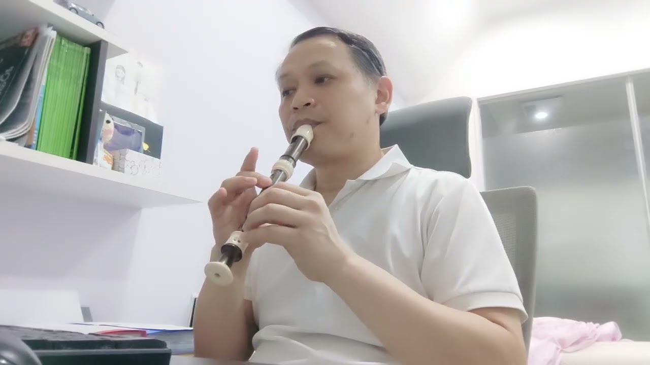 Top of the world (soprano recorder cover)