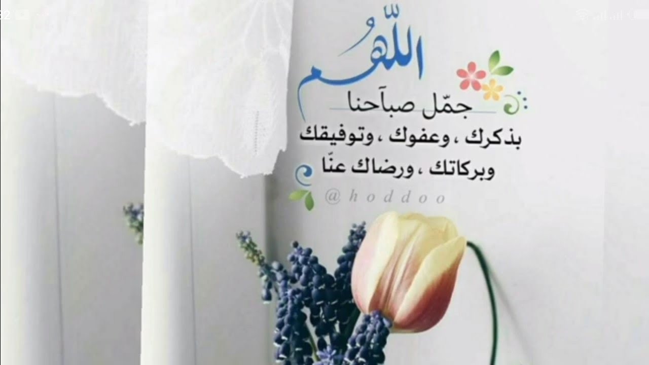 ⭐صباح الخير⭐ 2025 ⭐صباحكم معطر بذكر الله⭐صباح الورد 💛صباحيات حالات واتس 💛حالات صباحية💛صور صباح الخير