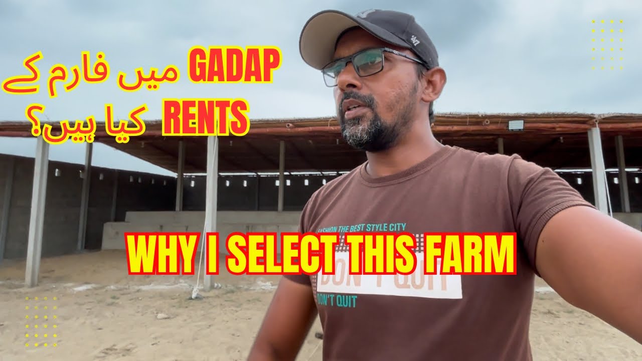 Why I select This Farm? Gadap Me Farm Rents Kia Hai? Dost Cattle Farm. I M Wahaj Vlogs.