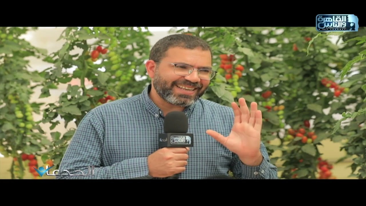 م.اسلام كساب: محطة رايك زون مصر تمثل مركز توزيع منتجات الشركة من بذور الخضر والفاكهة عالية الانتاجية