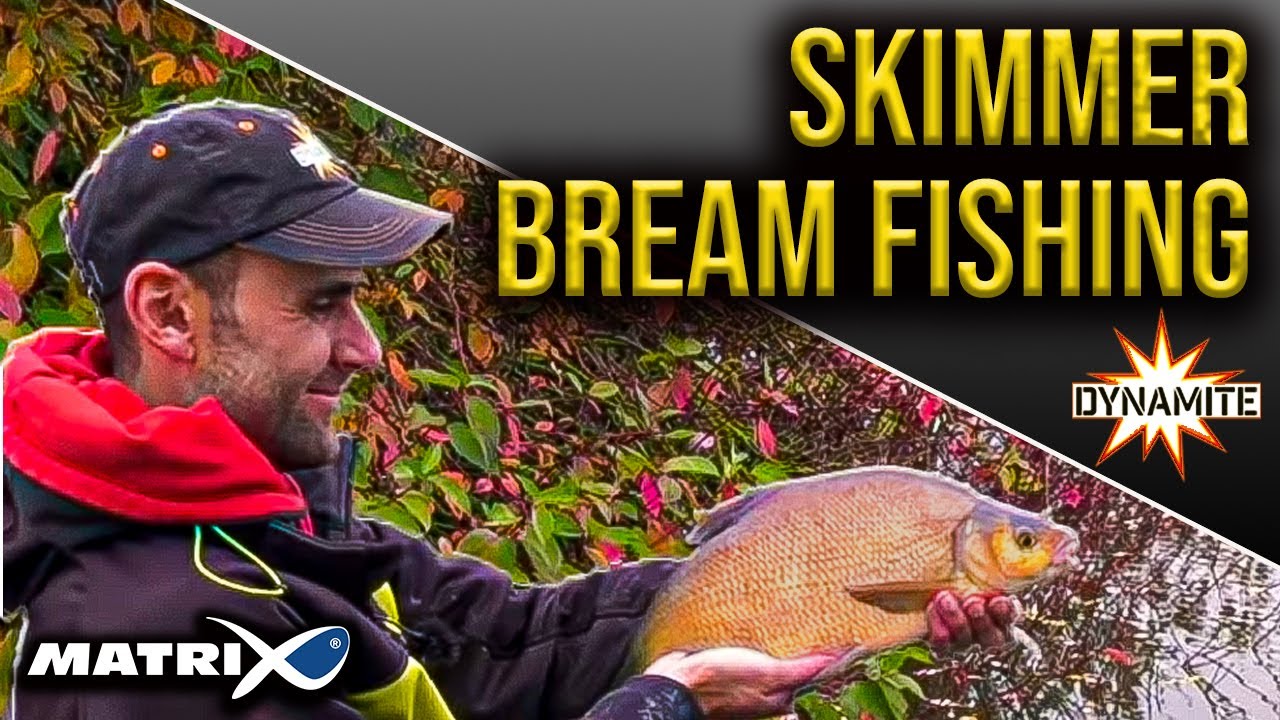 Pole Fishing For Skimmer Bream