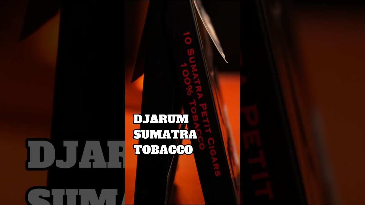 Review Cerutu Djarum Gold Seal Petit Minis | Sumatra Tobacco