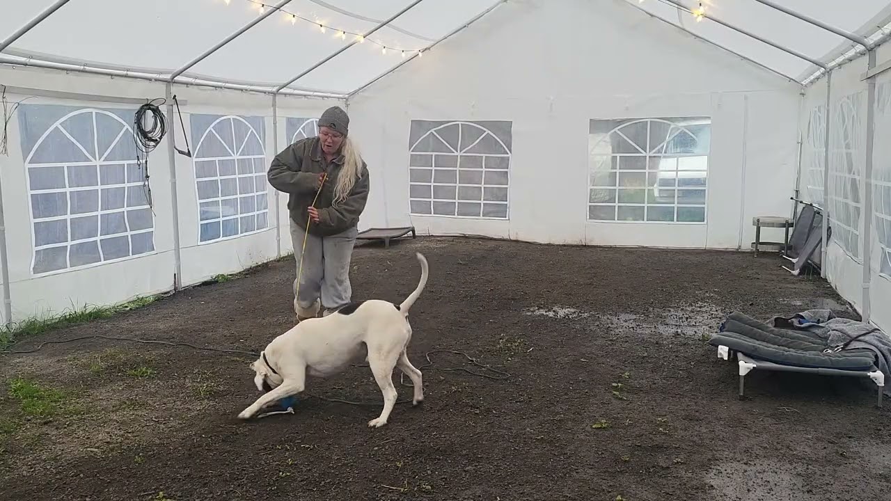 Skookum day 1 Toy play