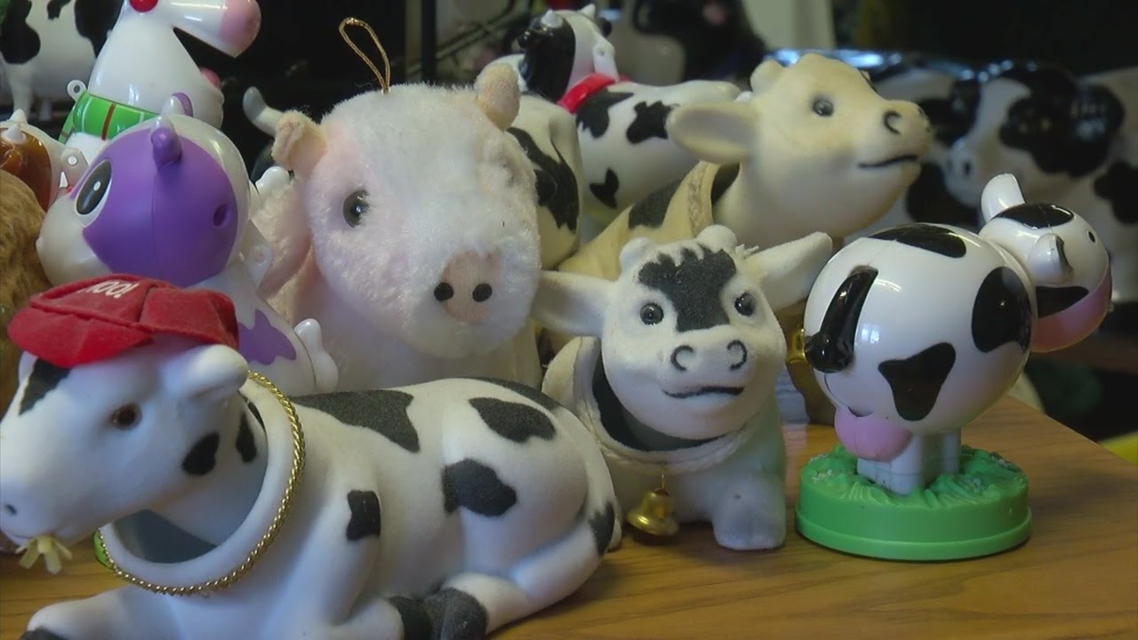 Finding Minnesota: Ruth Klossner's Moo-seum