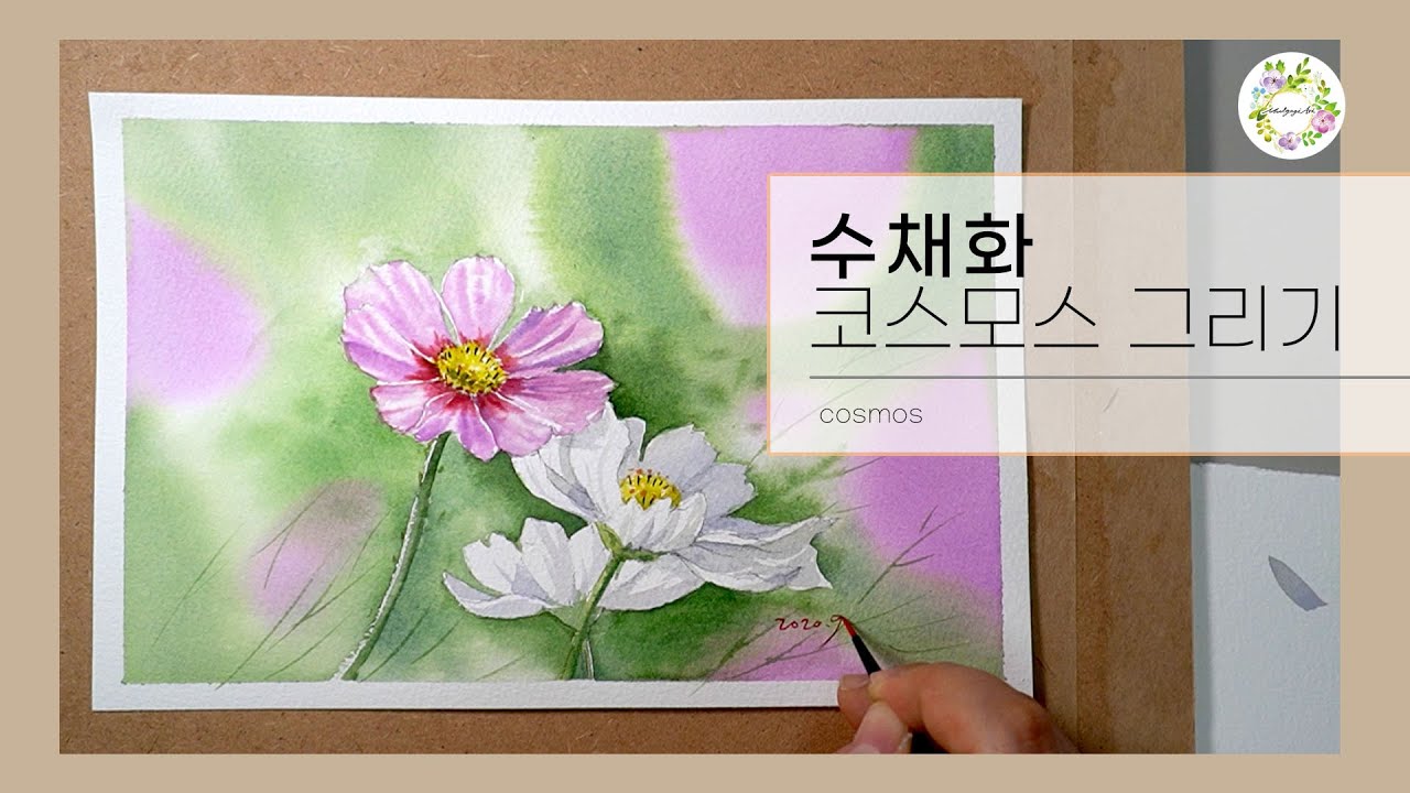 수채화 꽃 그림/ 배경이 있는 코스모스 그리기 / watercolor painting / 물고기아트 아뜰리에