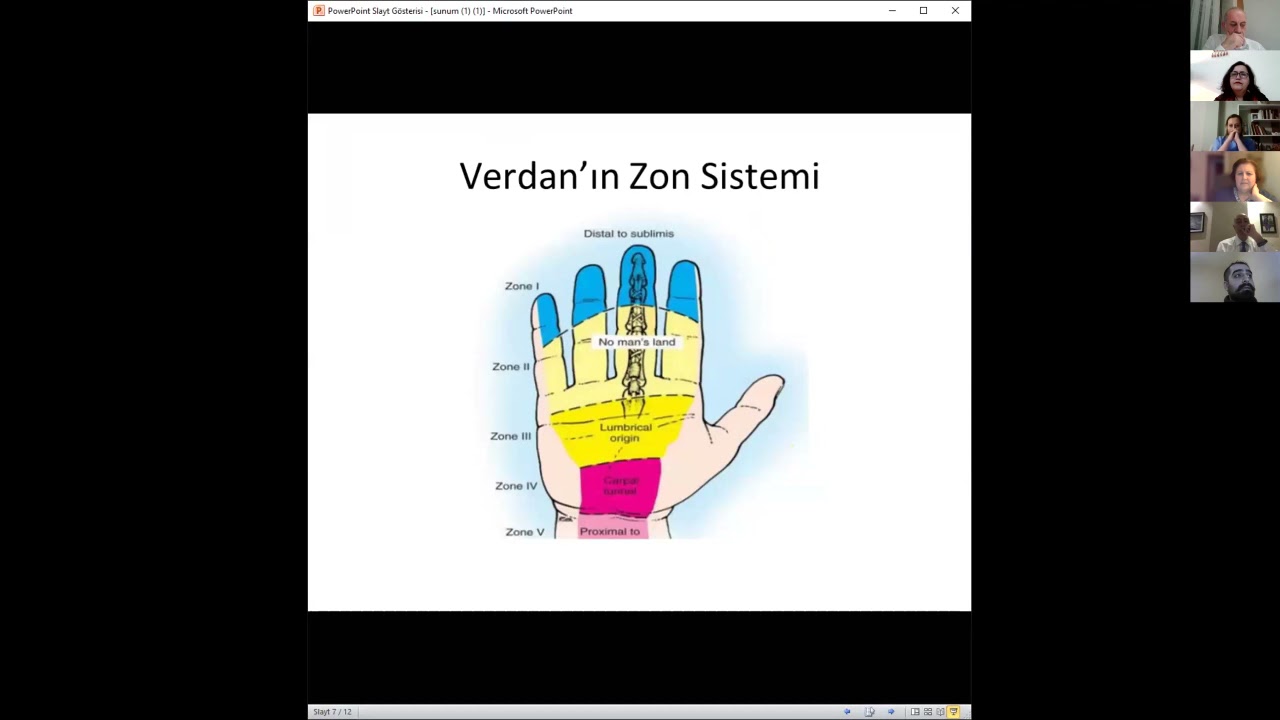 Fleksör tendon yaralanması anatomi ve patofizyolojisi-Fzt. Ozan Tuncel