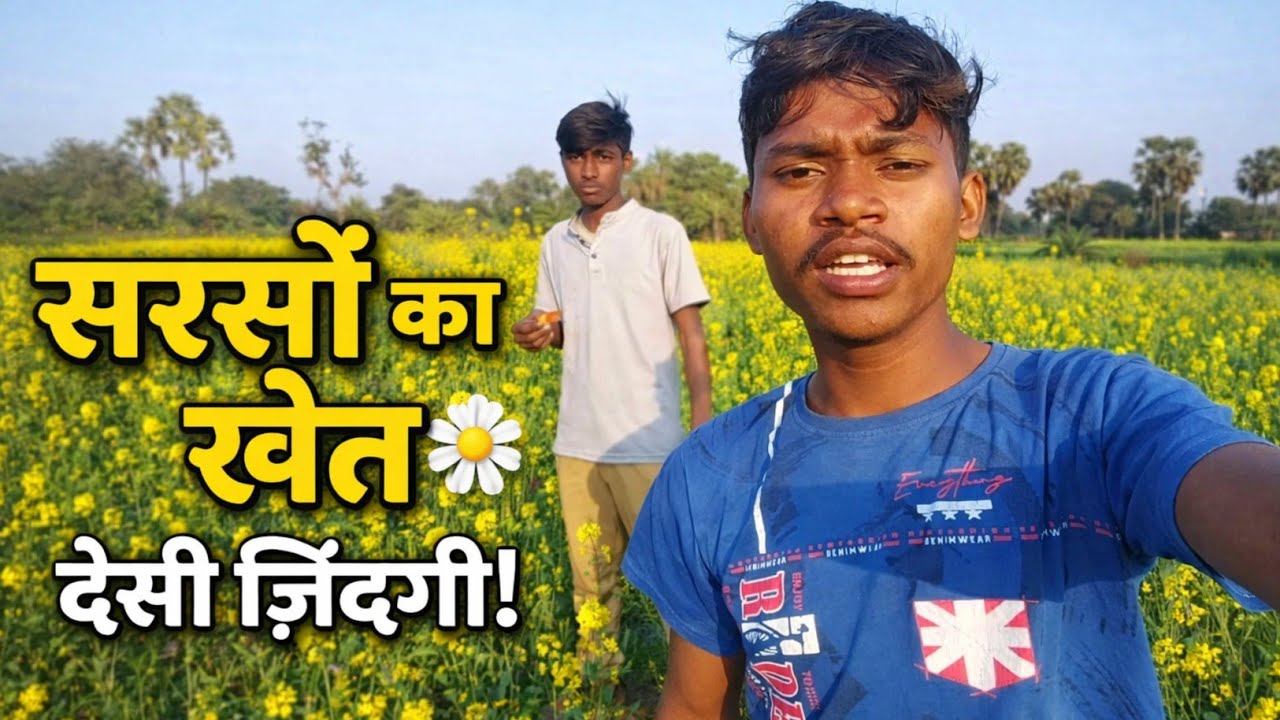 sarso ka podha dekhane wala hai (ushe sarso ka tel kahtw hai ) #vlog #video 
