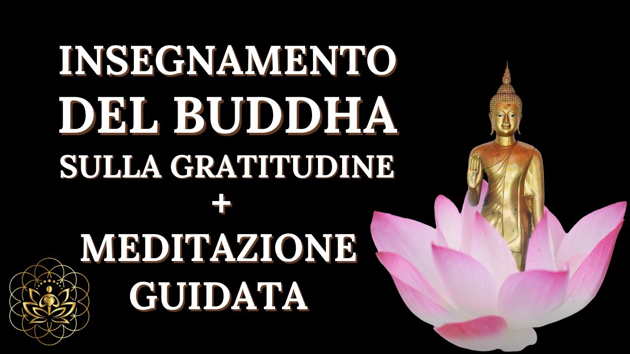 MEDITAZIONE + STORIA MOTIVAZIONALE PER NON SENTIRSI TRISTI ED ESSERE GRATI