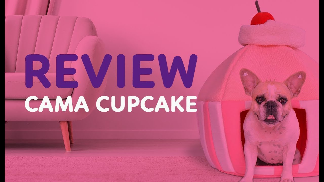Review: Capa Cupcake da Woof Pet - Caminha para cachorro