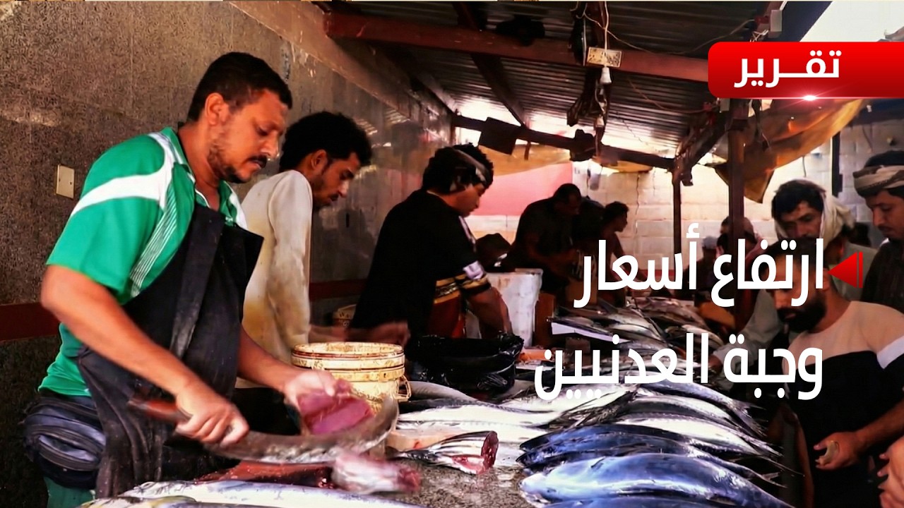 عدن | ارتفاع أسعار الثمد يهدد وجبة العدنيين اليومية -  تقري : علاء السلال