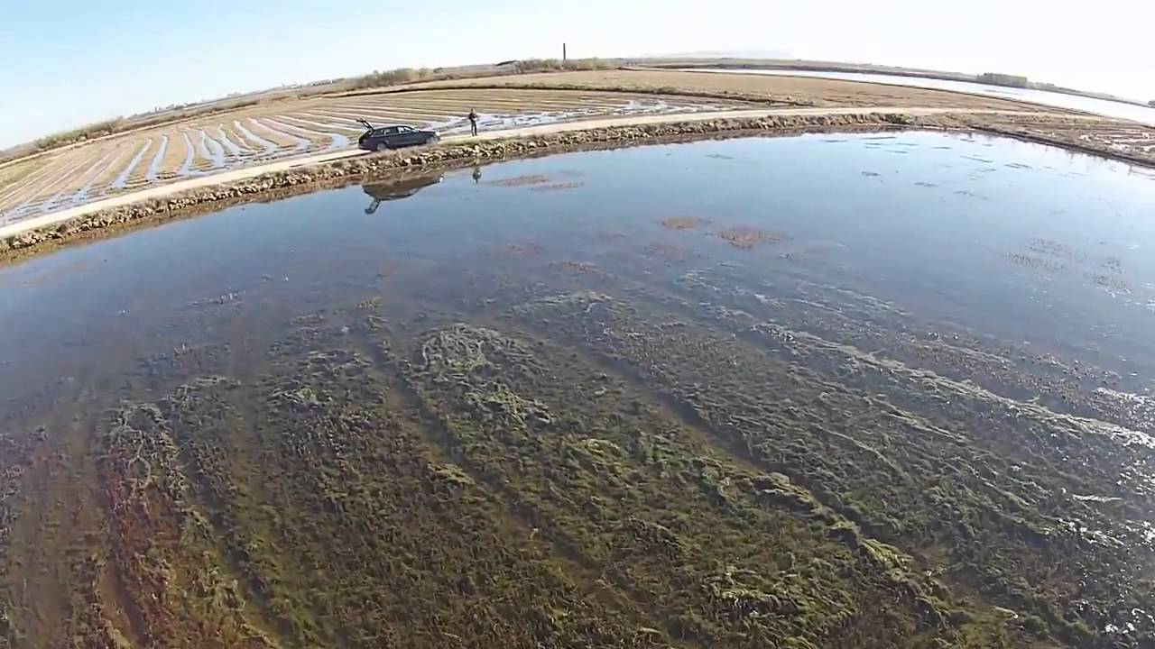 La Albufera.