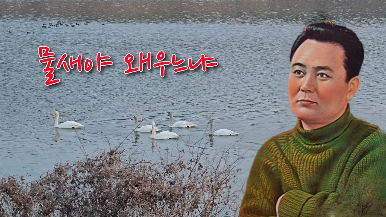 손인호-물새야 왜 우느냐