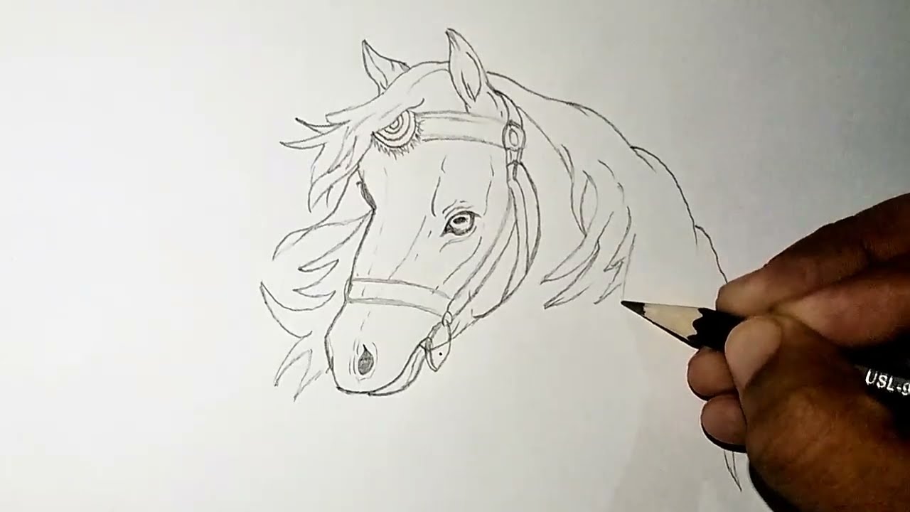 How to Draw a Horse - Easy Horse Drawing Step by Step Tutorial for Beginners - Horse Pencil Drawing