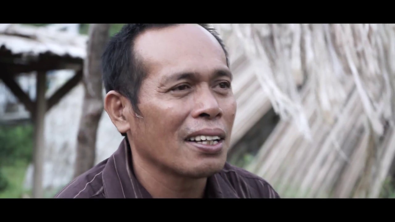 SERAT PISANG ABAKA | melihat langsung bahan kertas Teh Celup dan Uang Dollar