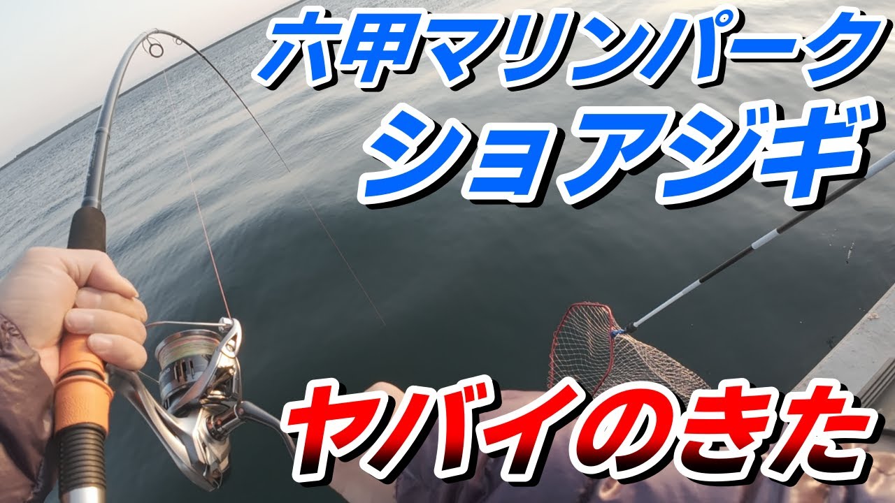 【ショアジギ】六甲マリンパークでサゴシ狙い！のはずが初心者にまさかのアイツがヒット！