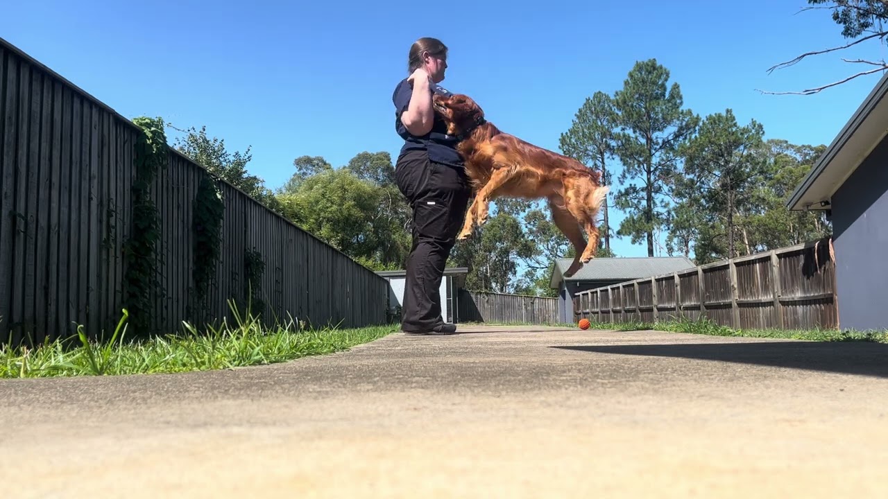 2 balls 