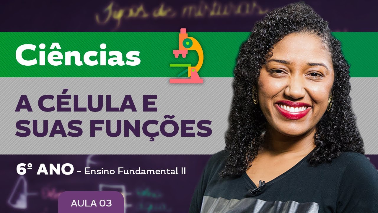A c&eacute;lula e suas fun&ccedil;&otilde;es &ndash; Ci&ecirc;ncias &ndash; 6&ordm; ano &ndash; Ensino Fundamental