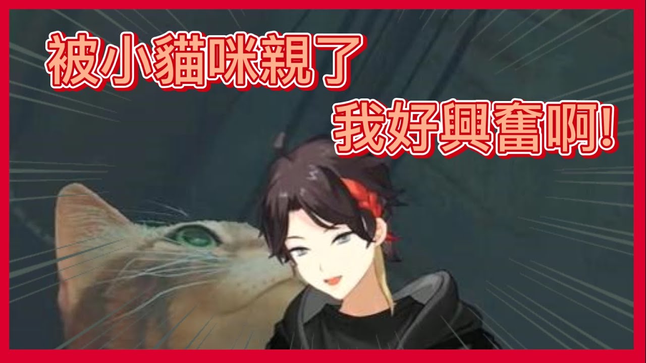 【彩虹社中字】遇上可愛貓咪限界化【三枝明那/Stray】