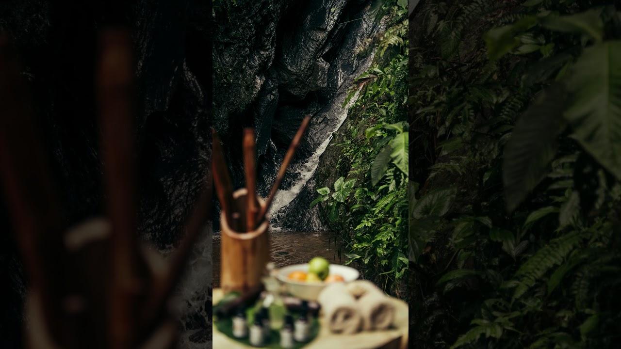 Find peace in the heart of the rainforest at Mashpi Lodge&rsquo;s Spa