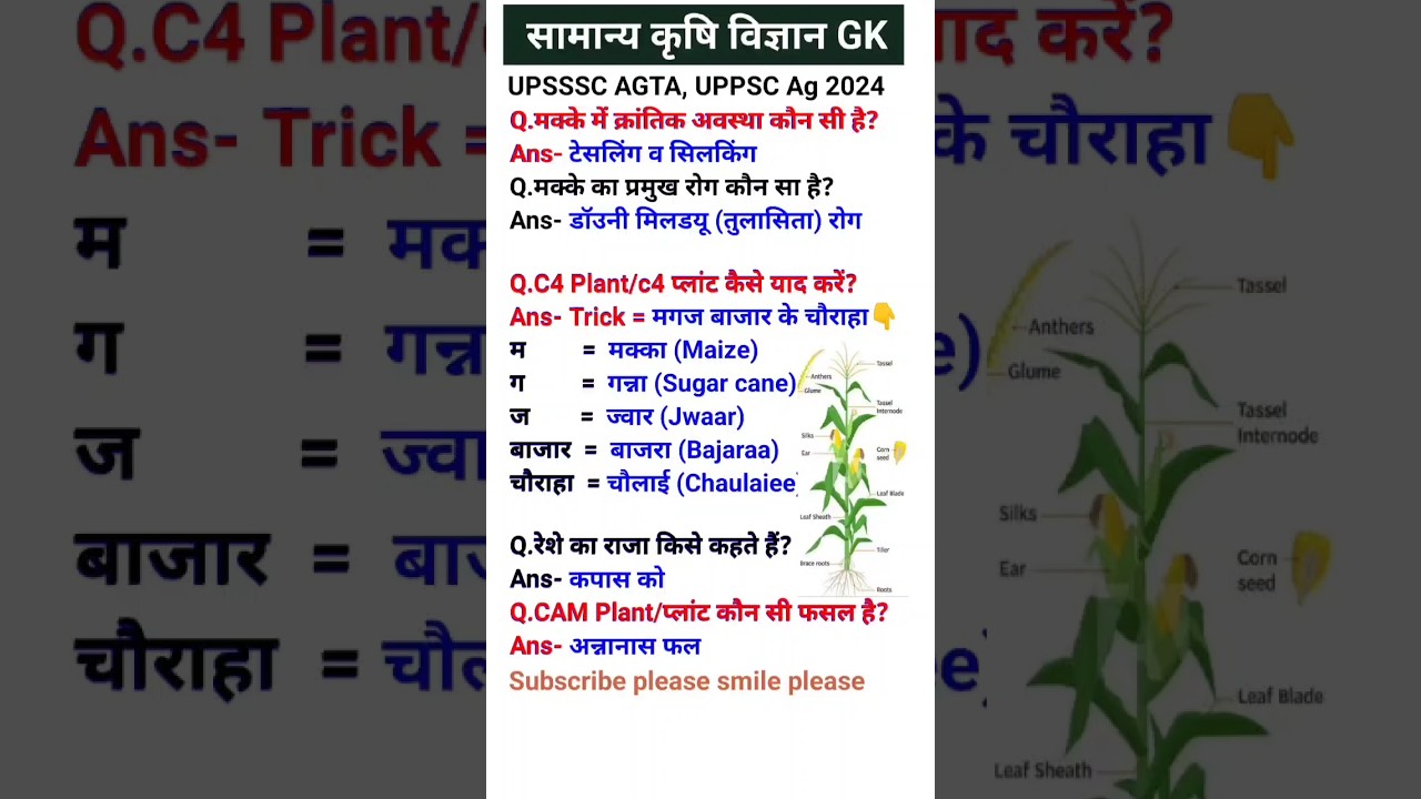 सामान्य कृषि विज्ञान GK UPSSSC AGTA, UPPSC Ag2024 #question  #upsssctac #upsssc-ta #uppsc2024pre #gk