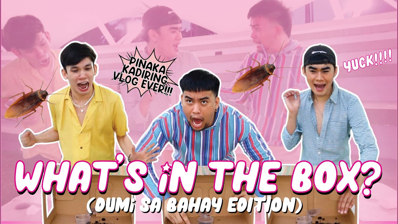 What's In The Box Challenge (Dumi Sa Bahay Edition) | iDolls Vlogs