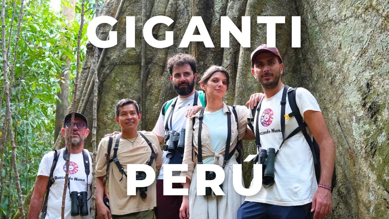 ALBERI SECOLARI: primo giorno dentro la foresta amazzonica tra piranha ed animali 🇵🇪