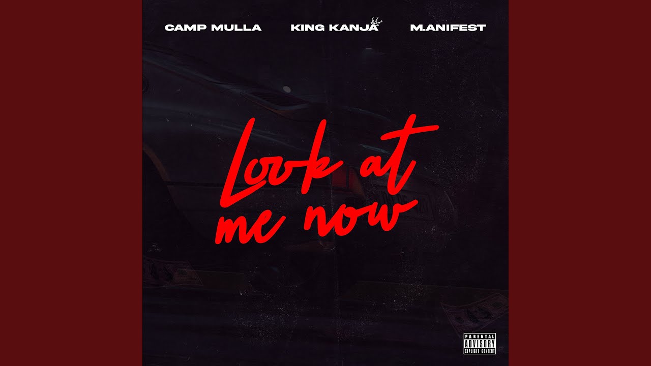 Look at Me Now (feat. M.anifest)