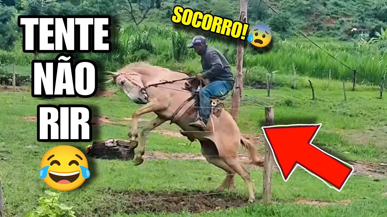 TENTE NÃO RIR: OS MELHORES MEMES DA INTERNET #videosengracados #humor #comedia #tentenaorir #memes