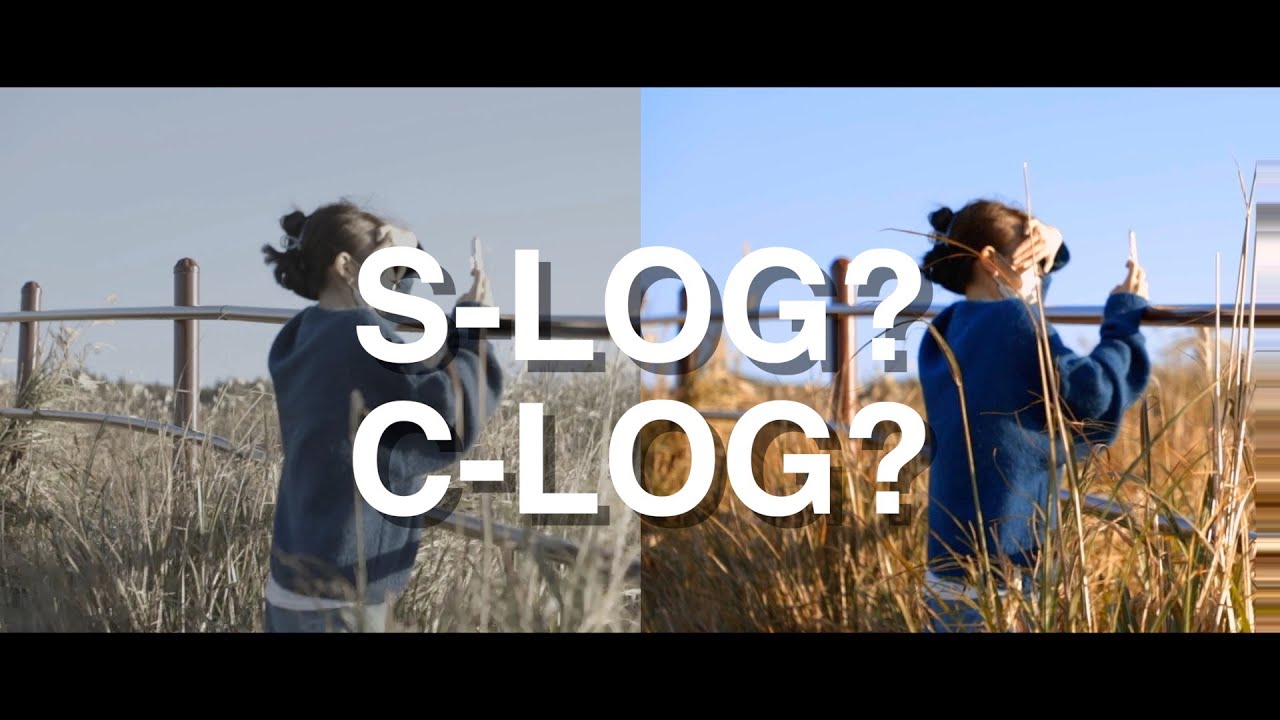 내가 촬영한 slog를 색보정 해도 영상이 안 예쁜 이유 |초보자를 위한 LOG 해부 (컬러 그레이딩이란?)
