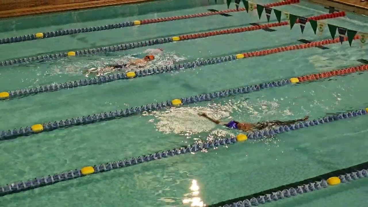Stirling primary swim gala. 26th Aug 2023.