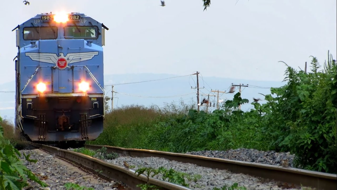 Missouri Pacific Heritage Unit UP 1982 en Mexico #2