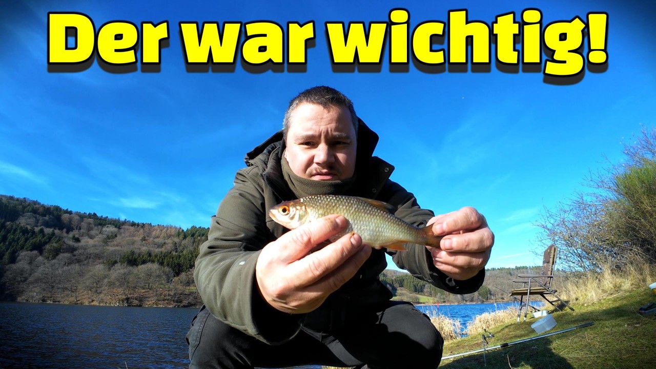 Angeln auf Rotaugen und Hecht: Letzte Chance vor der Hechtschonzeit