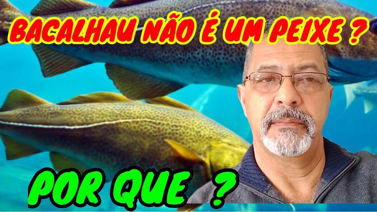 SURPREENDENTE-DESCOBERTO PROCESSO DO BACALHAU- NINGUÉM NUNCA IMAGINOU #brasileiroemportugal