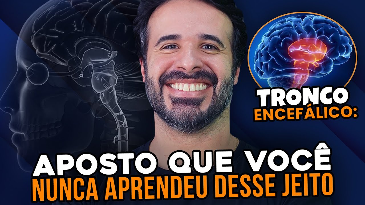 APOSTO QUE VOC&Ecirc; NUNCA ESTUDOU O TRONCO ENCEF&Aacute;LICO DESSE JEITO