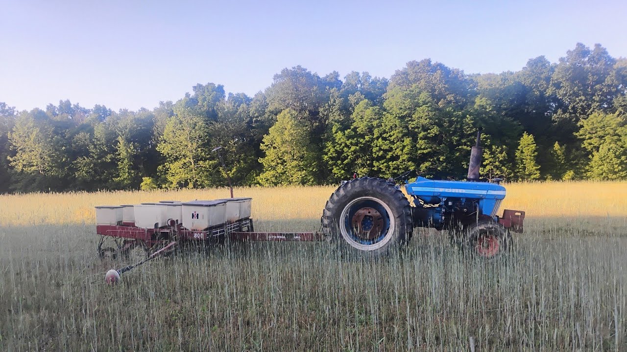 No-Tilling Corn Green with a Bone Stock IH 800 Plate Planter