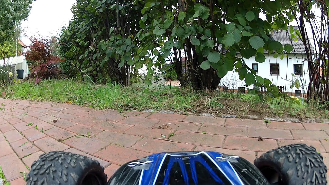 Wespen ärgern mit TRAXXAS E-Revo