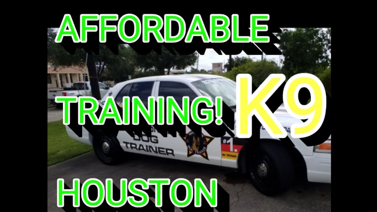 2 Pitbull PUPPIES OBEDIENCE TRAINING TOTAL CONTROL ABSOLUTELY AMAZING DOG TRAINING HOUSTON #1