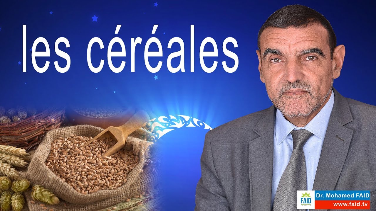 Les céréales | Dr Faid