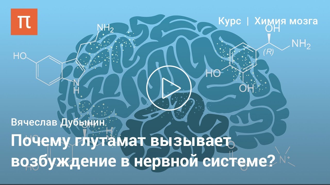 Глутамат &mdash; Вячеслав Дубынин