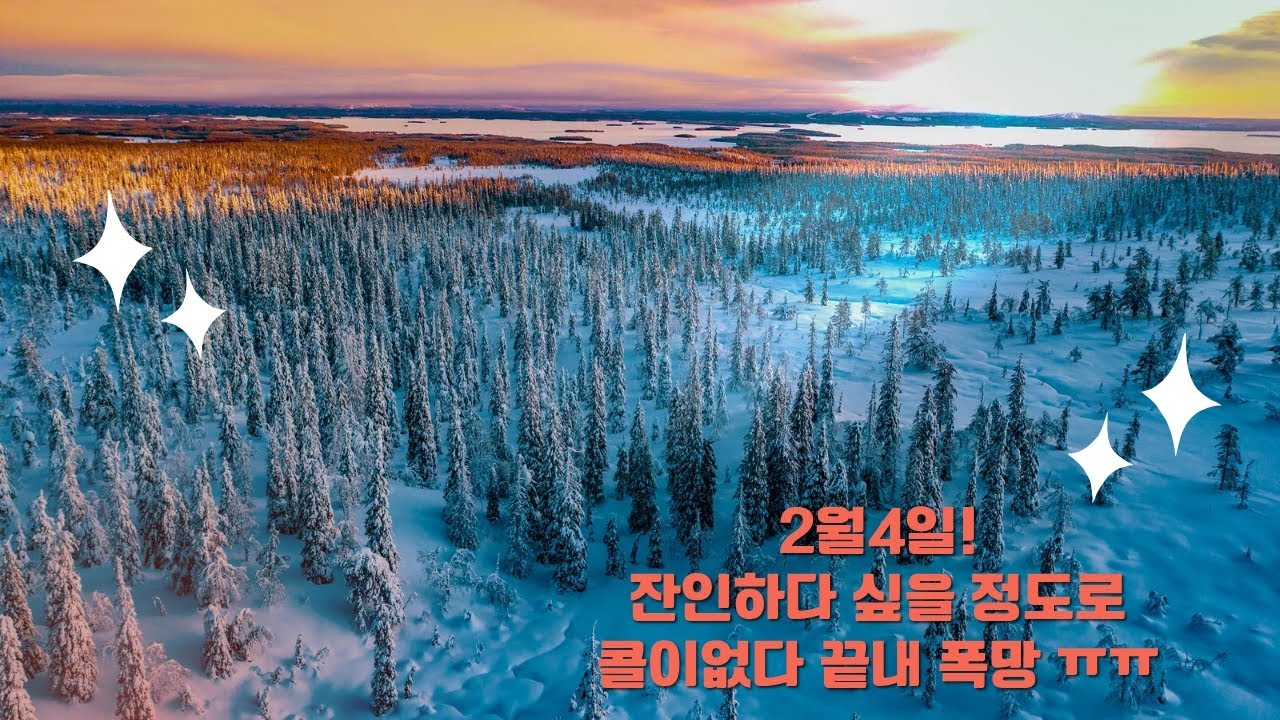 2월4일 투나대리 잔인하다 싶을 정도로 콜이없다 끝내 폭망 ㅠㅠ