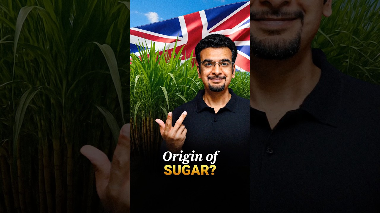 Where did sugar come from in India? #sugar #sugarcane | TCC