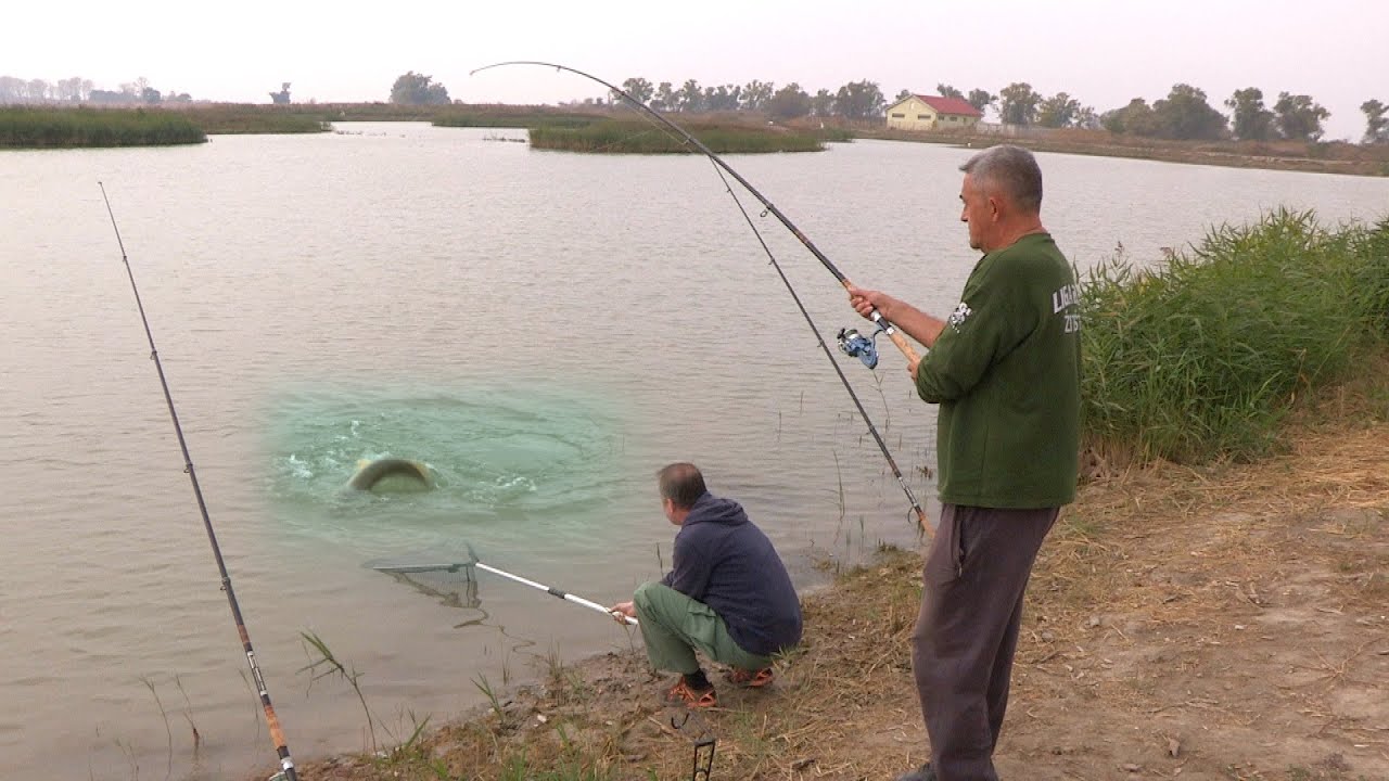 Pecanje štuke na jezeru Grgeč - Žitište Vojvodina | Fishing pike in Serbia